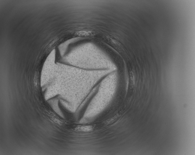 X0000060280665200511241523
