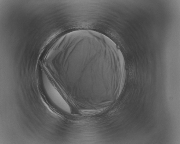 X0000060280674200511241522