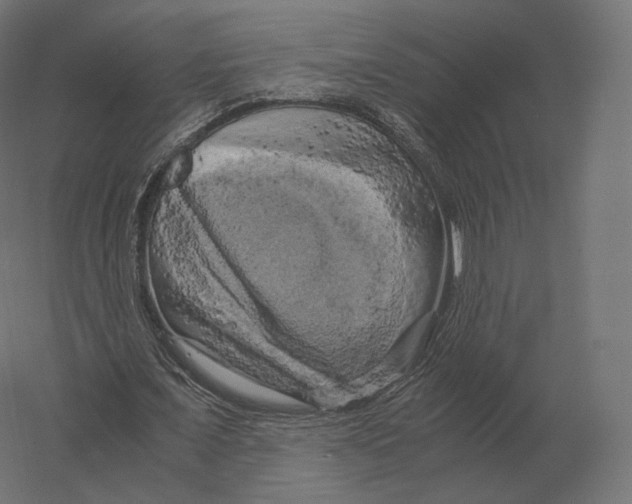 X0000060280675200511241522