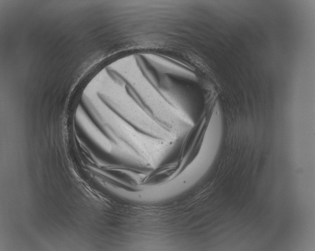 X0000060280676200511241522