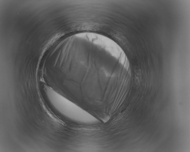 X0000060280678200511241522