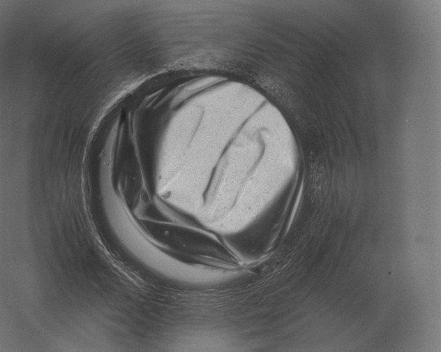 X0000060280680200511241522