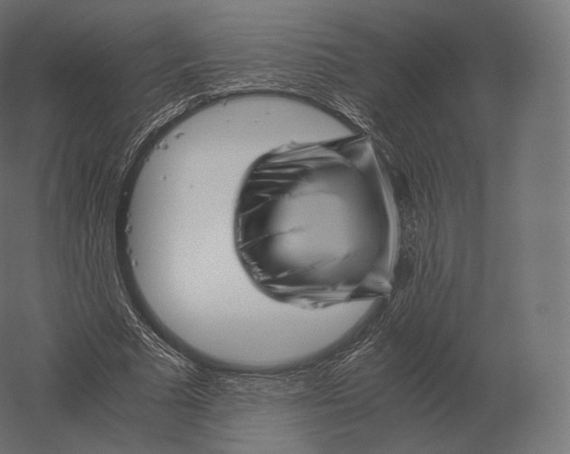 X0000060280681200511241522