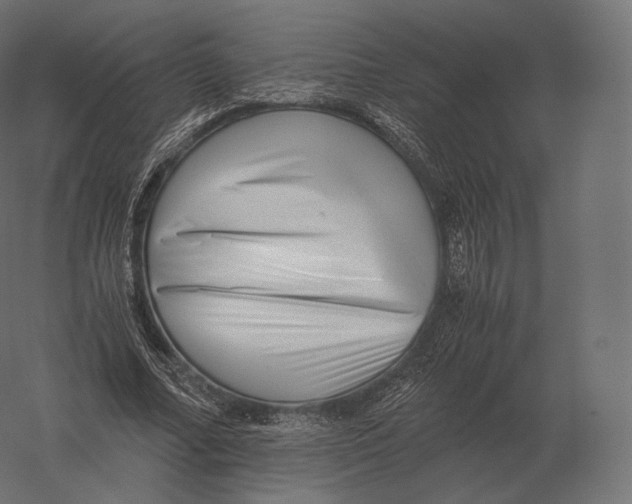X0000060280682200511241522