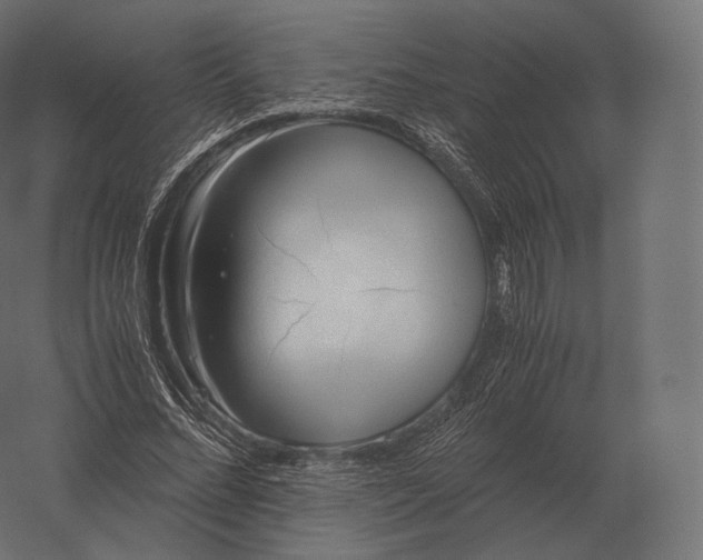 X0000060280684200511241522