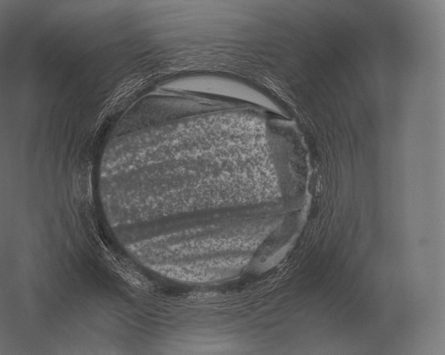 X0000060280685200511241522