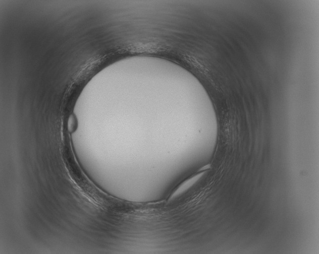 X0000060280686200511241522