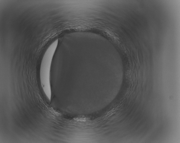 X0000060280689200511241522