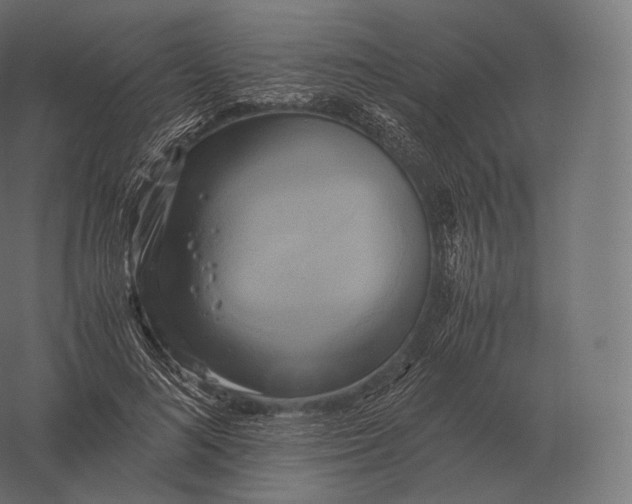 X0000060280692200511241522