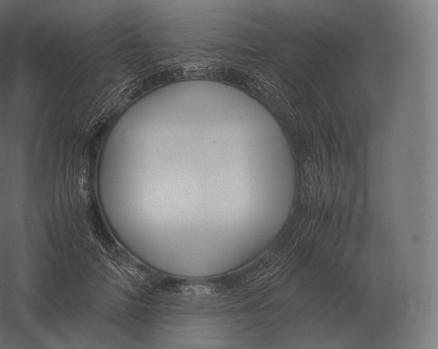 X0000060280698200511241522