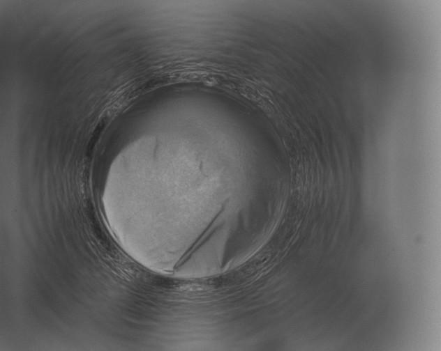X0000060280708200511241521