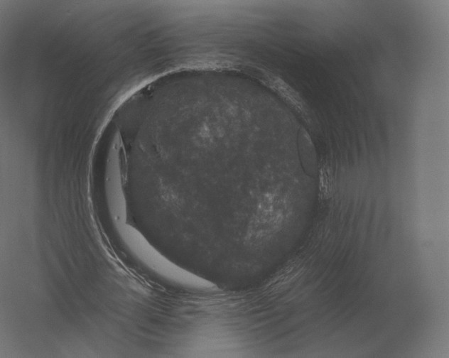 X0000060280724200511241520