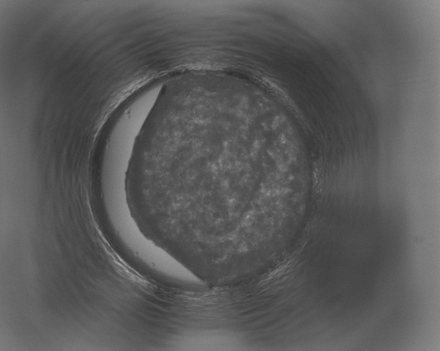 X0000060280725200511241520