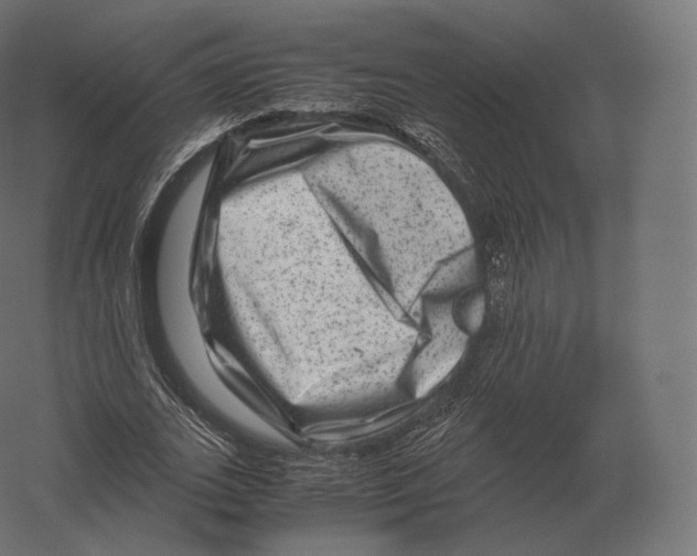 X0000060280727200511241520