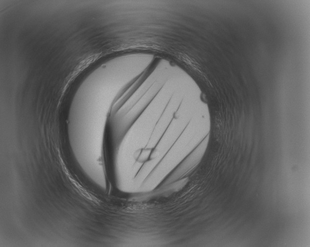 X0000060280734200511241521