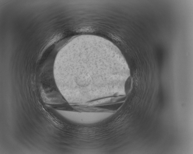 X0000060280735200511241521