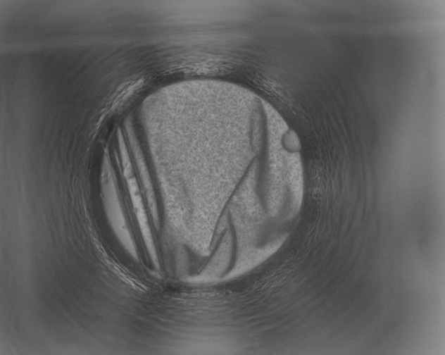X0000060280738200511241521