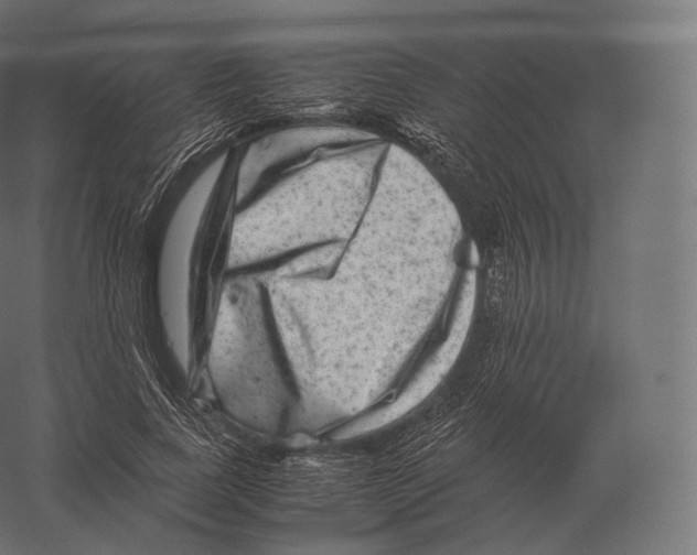 X0000060280739200511241521