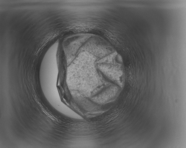 X0000060280742200511241521