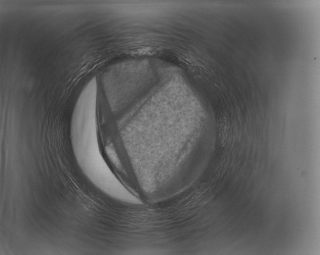 X0000060280747200511241521