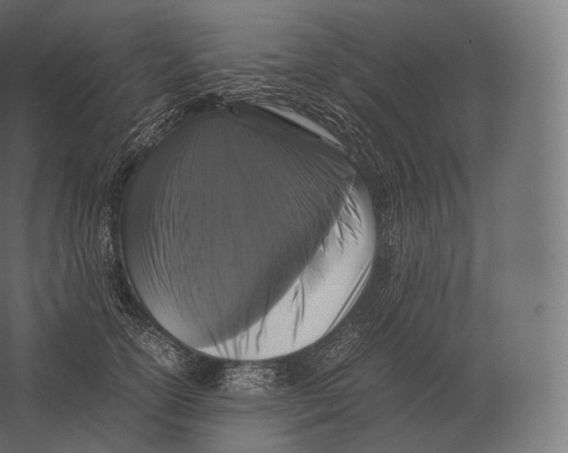 X0000060280754200511241521
