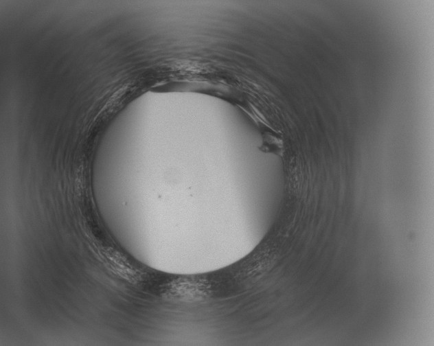 X0000060280756200511241521