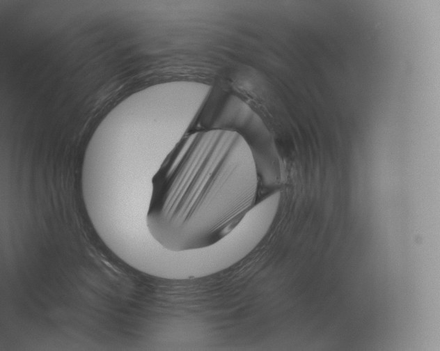 X0000060280766200511241521