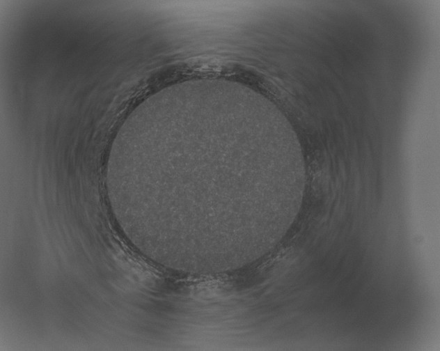 X0000060280769200511241520