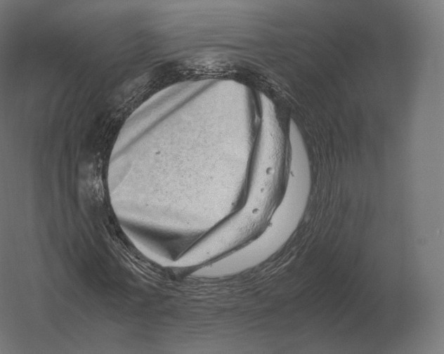 X0000060280771200511241520
