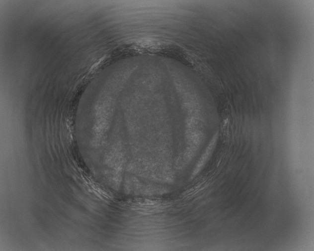 X0000060280772200511241520