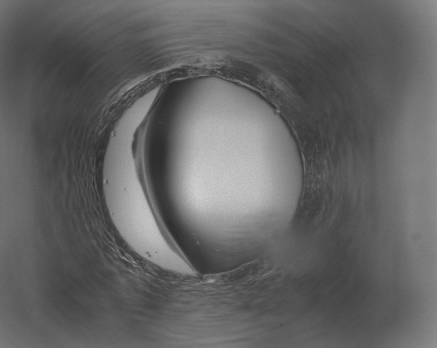X0000060280773200511241520
