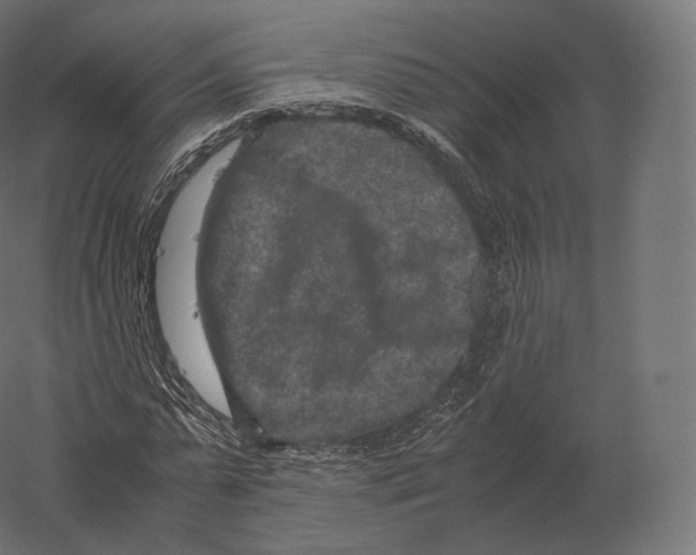 X0000060280775200511241520