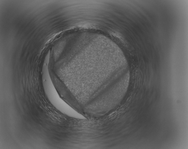 X0000060280776200511241520