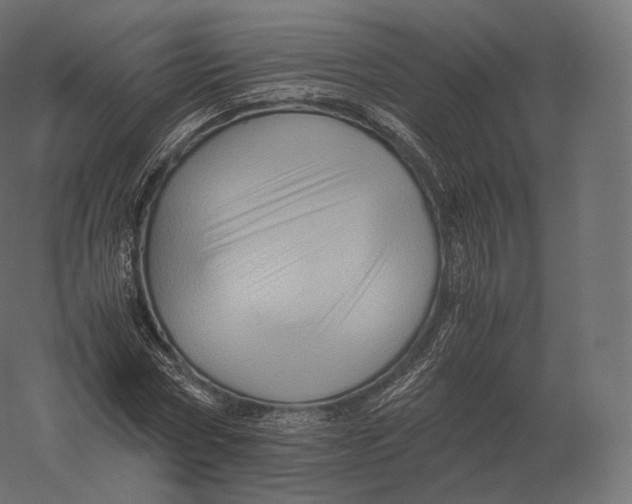 X0000060280778200511241520