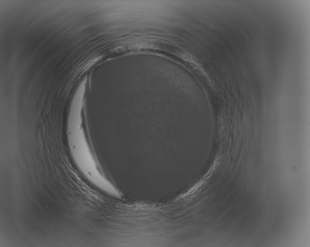 X0000060280785200511241520