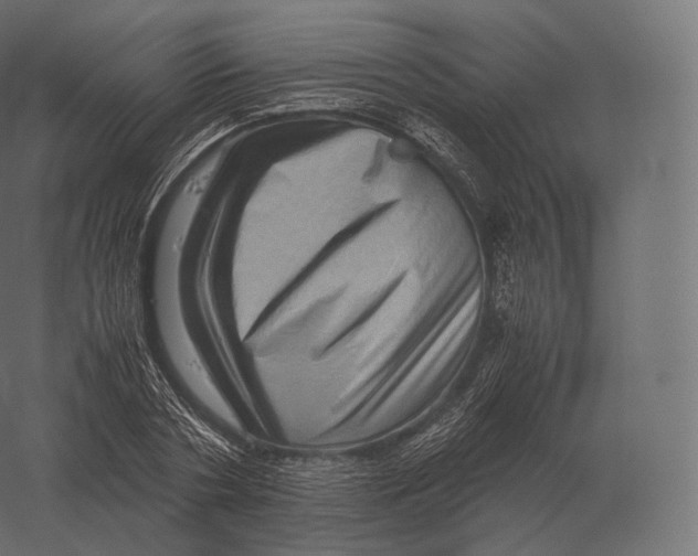 X0000060280786200511241520