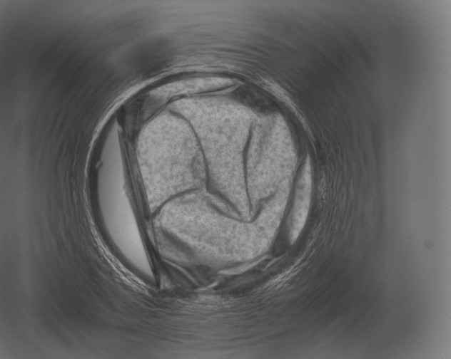 X0000060280787200511241520
