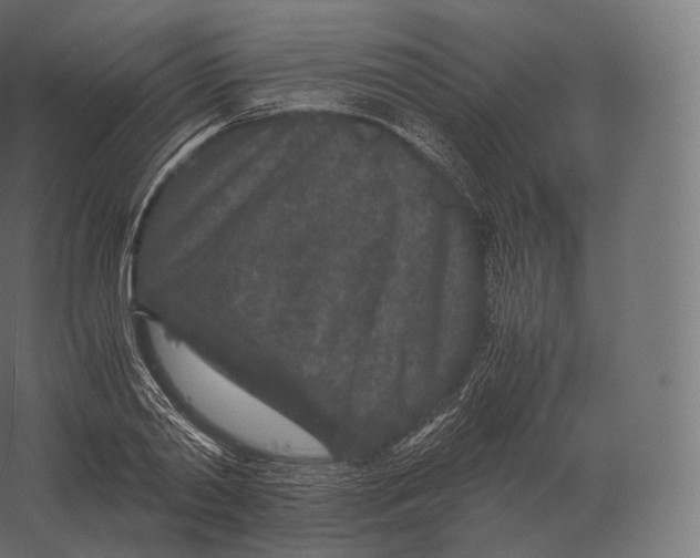 X0000060280790200511241520