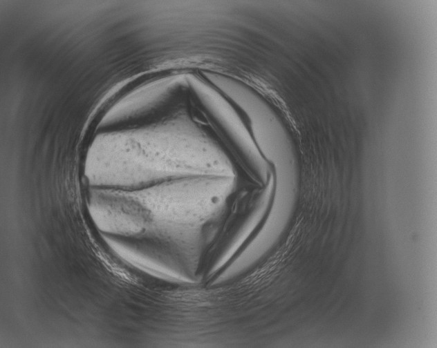 X0000060280792200511241520