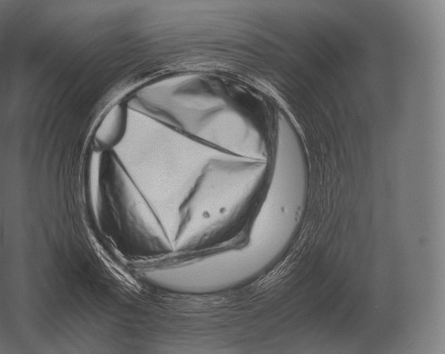 X0000060280795200511241520