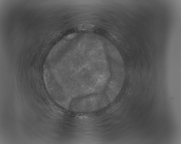 X0000060280817200511241519