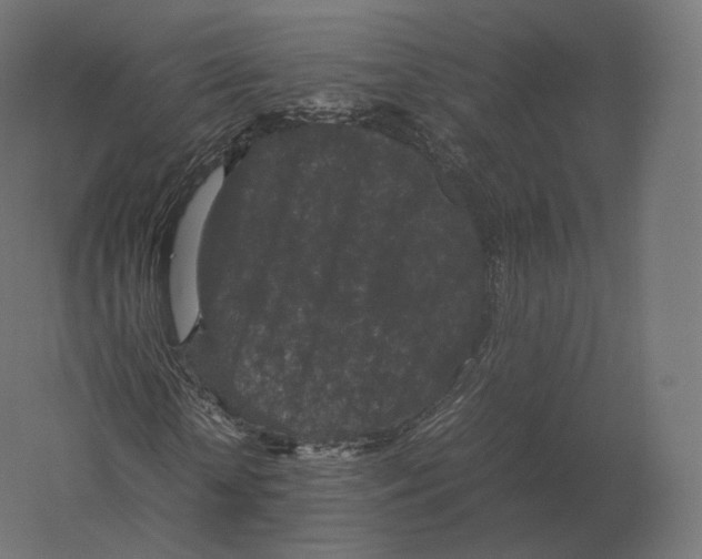 X0000060280818200511241519