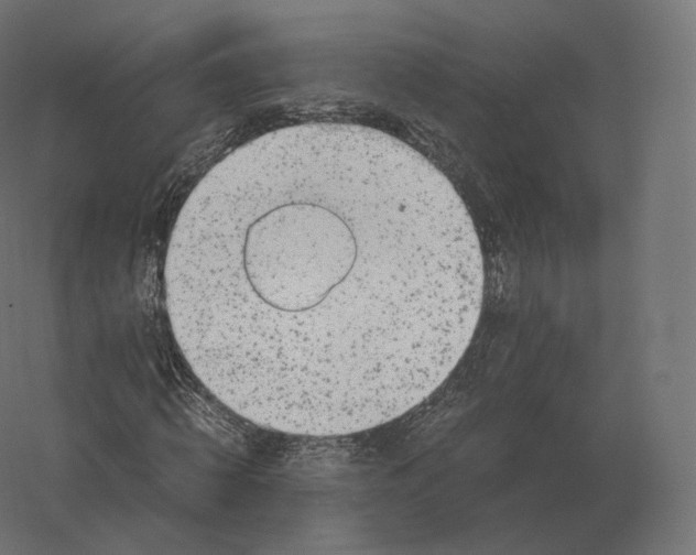 X0000060280820200511241519