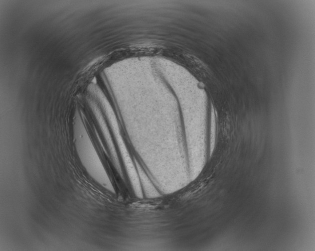 X0000060280821200511241519
