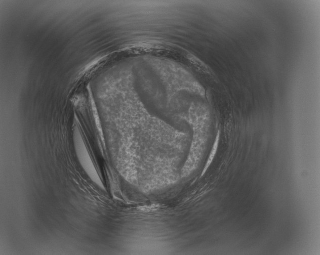 X0000060280822200511241519