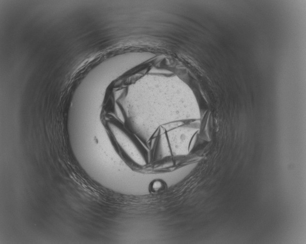 X0000060280824200511241519