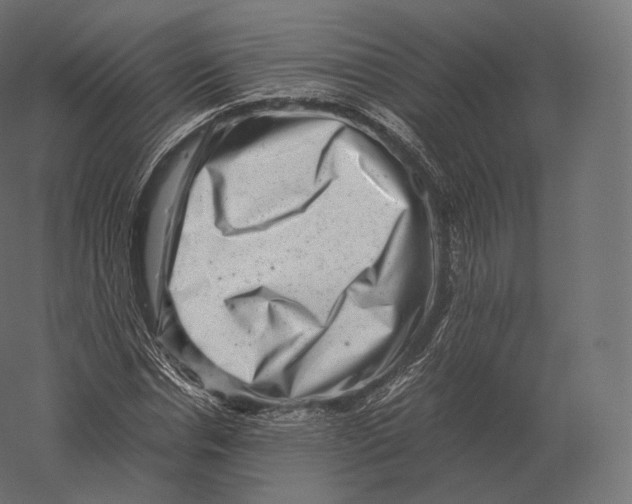 X0000060280826200511241519