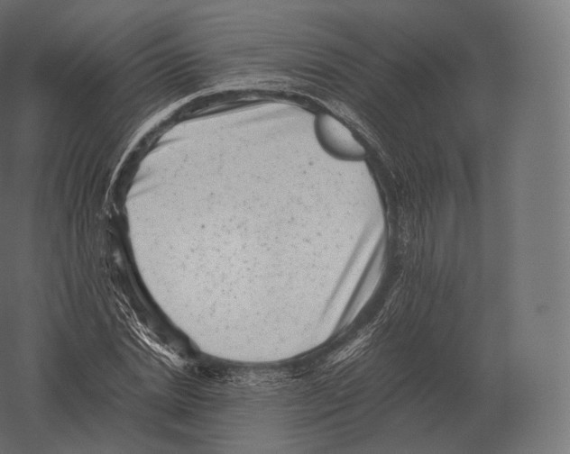 X0000060280830200511241519