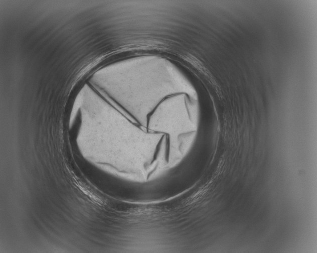 X0000060280834200511241519