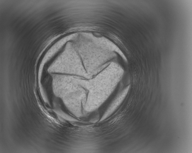 X0000060280844200511241519